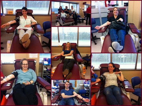blood drive