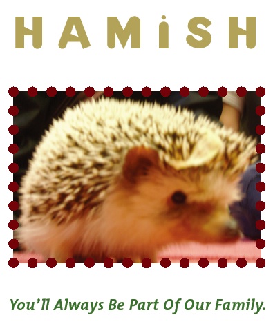 hamish