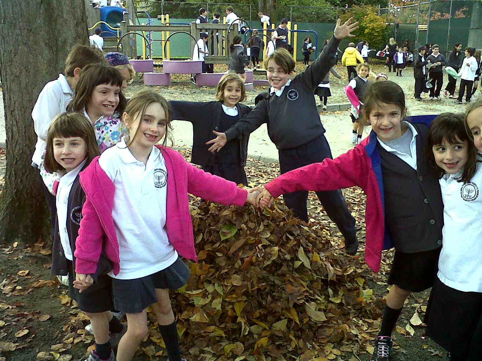 leaf pile