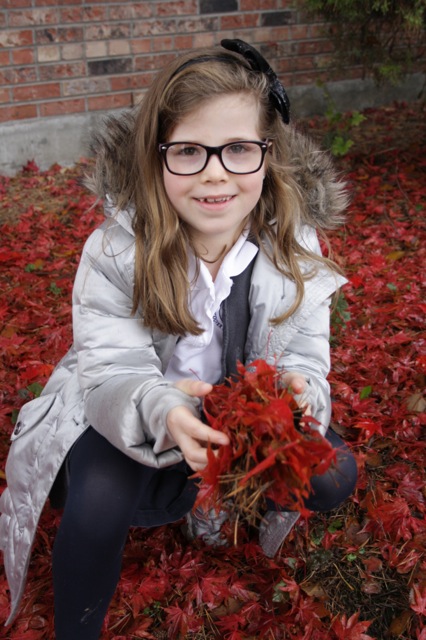leaves