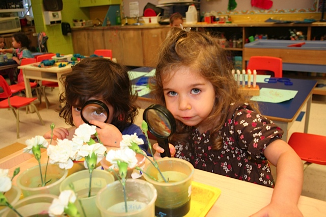 preschool-science