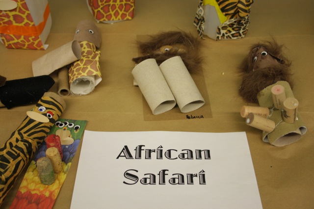 safari