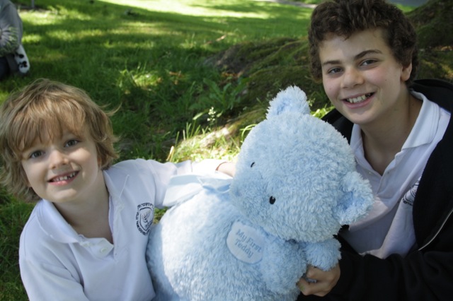 teddy picnic