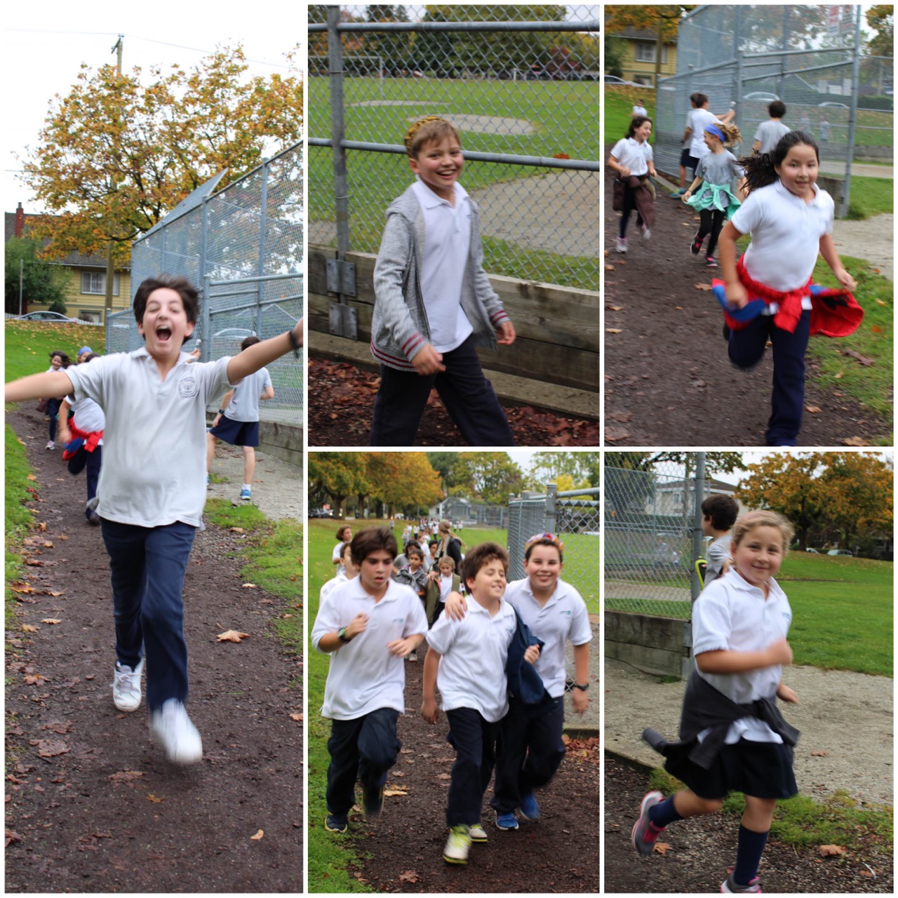 terry fox