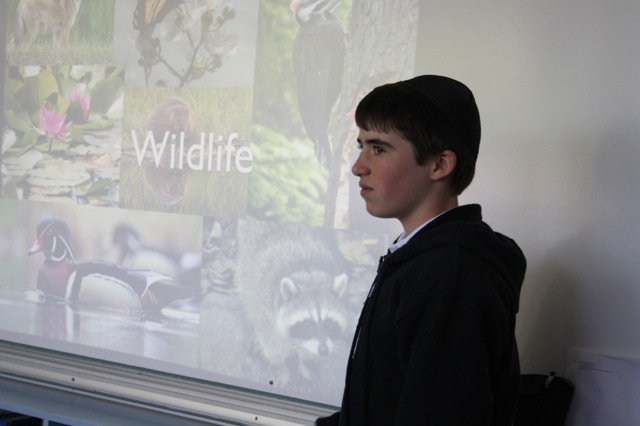 wildlife